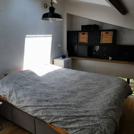 Loft Proche De Paris Lejlighed